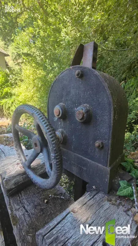 Moulin de caractère en corrèze – 160 m² habitables, 5,1 hectares bio, droit d'eau et piscine - photo 5