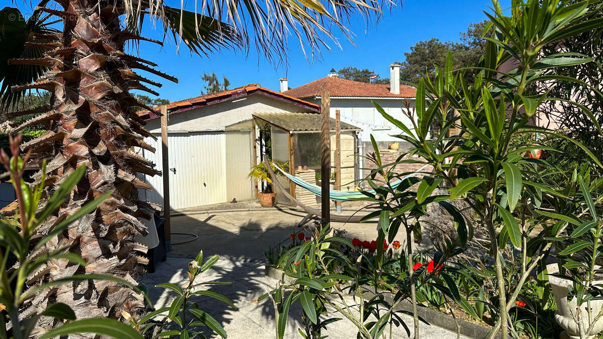 Photo 4 - Maison à SAINT-JULIEN-EN-BORN