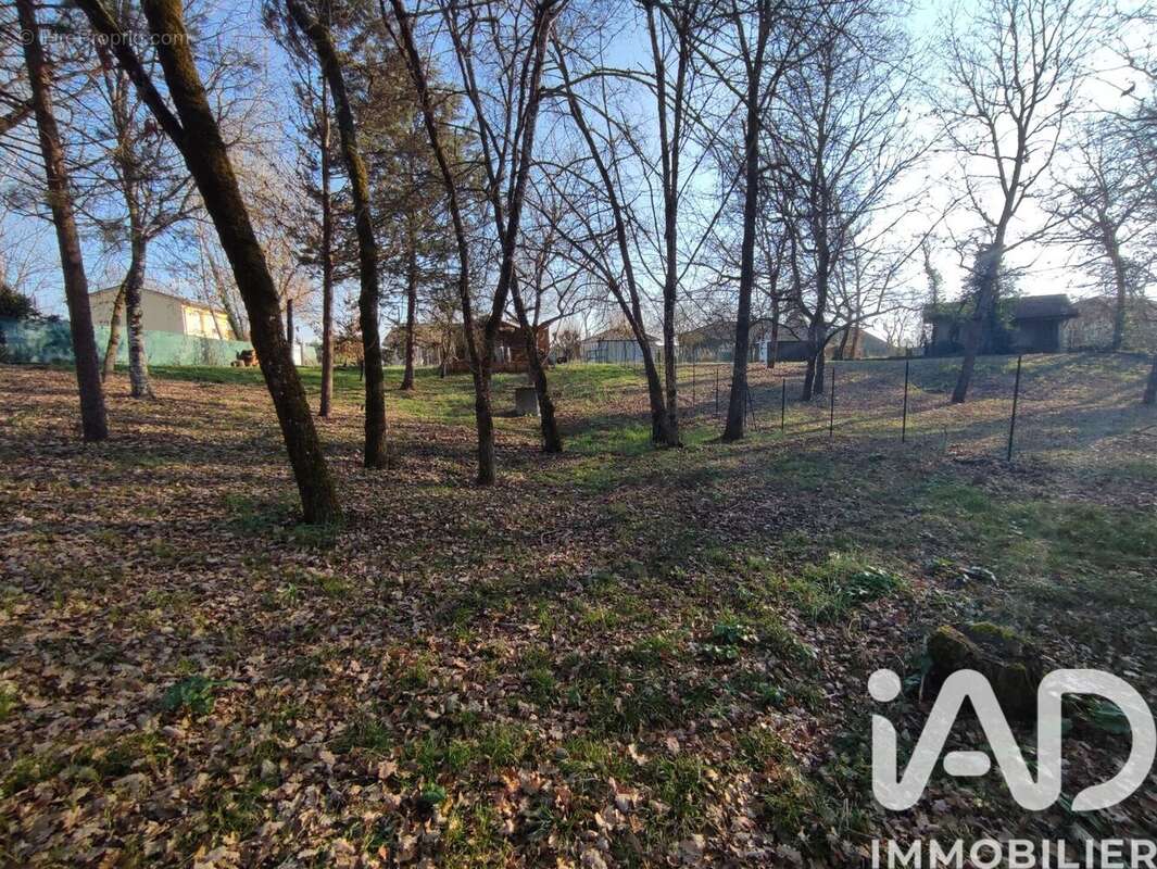 Photo 2 - Terrain à MONTEILS