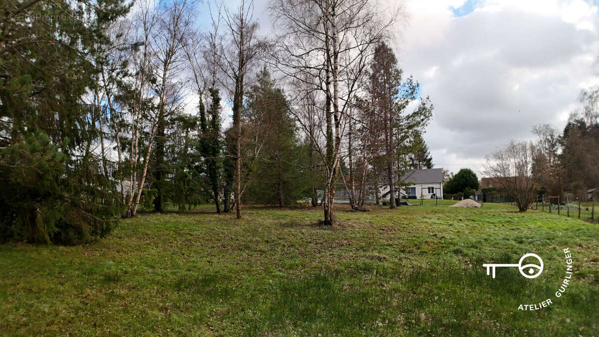 Terrain à MONTRIEUX-EN-SOLOGNE