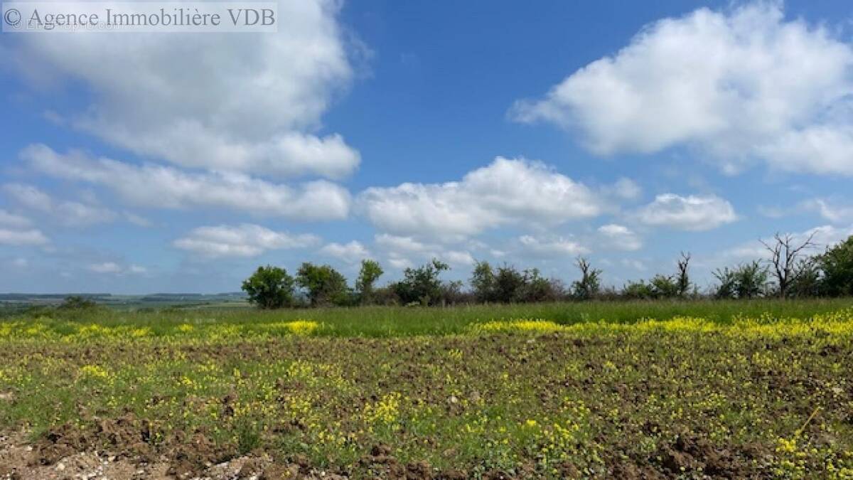 Terrain à HARAUCOURT