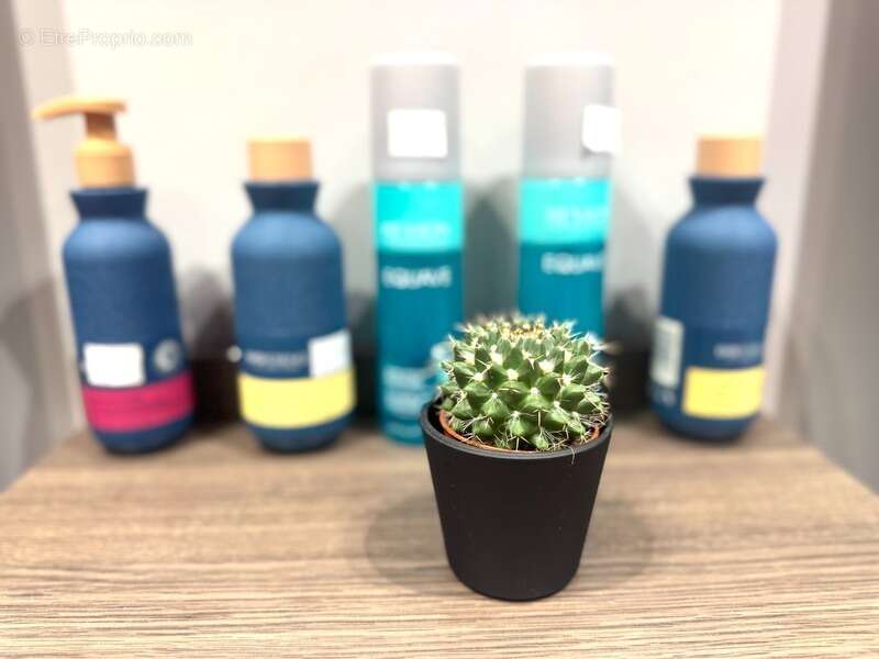 Commerce à LE CHESNAY