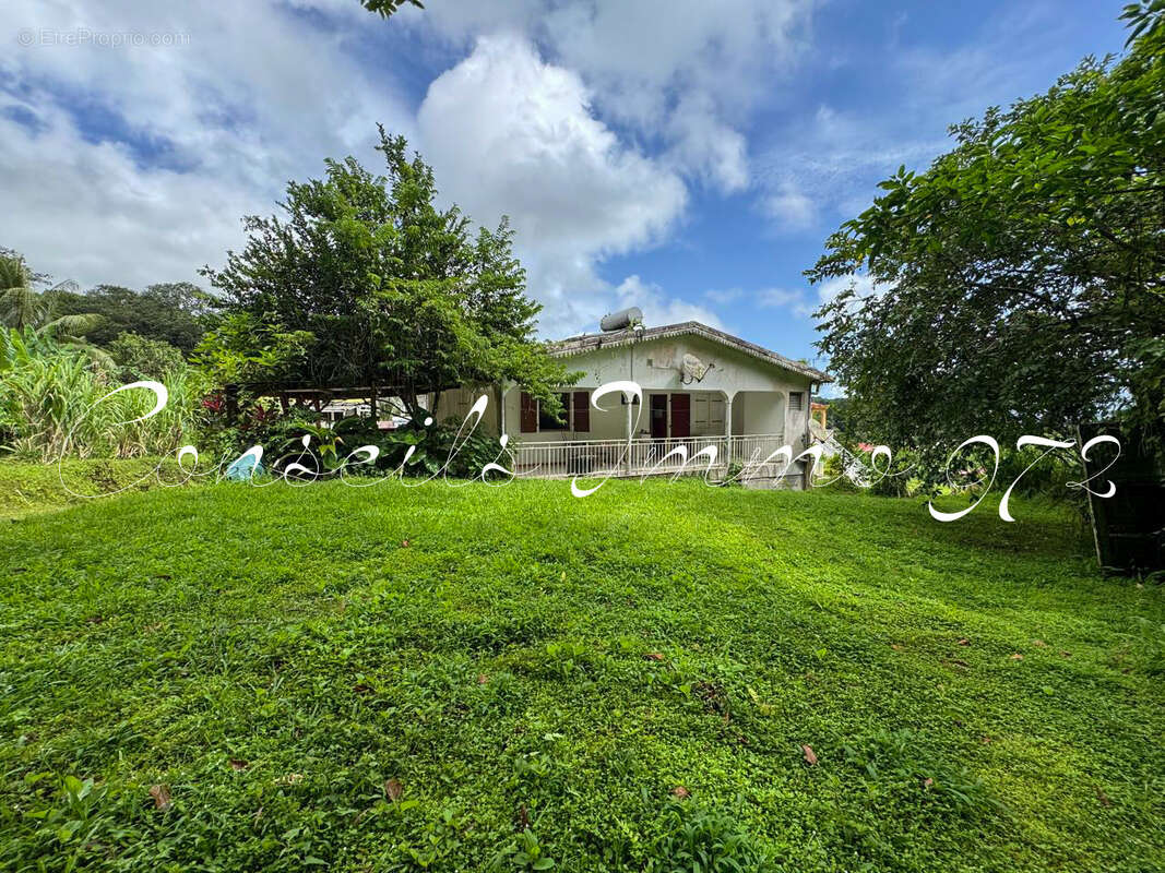 À Vendre   Maison F7 + Dépendance F3   L’Ajoupa-Bouillon - photo 2
