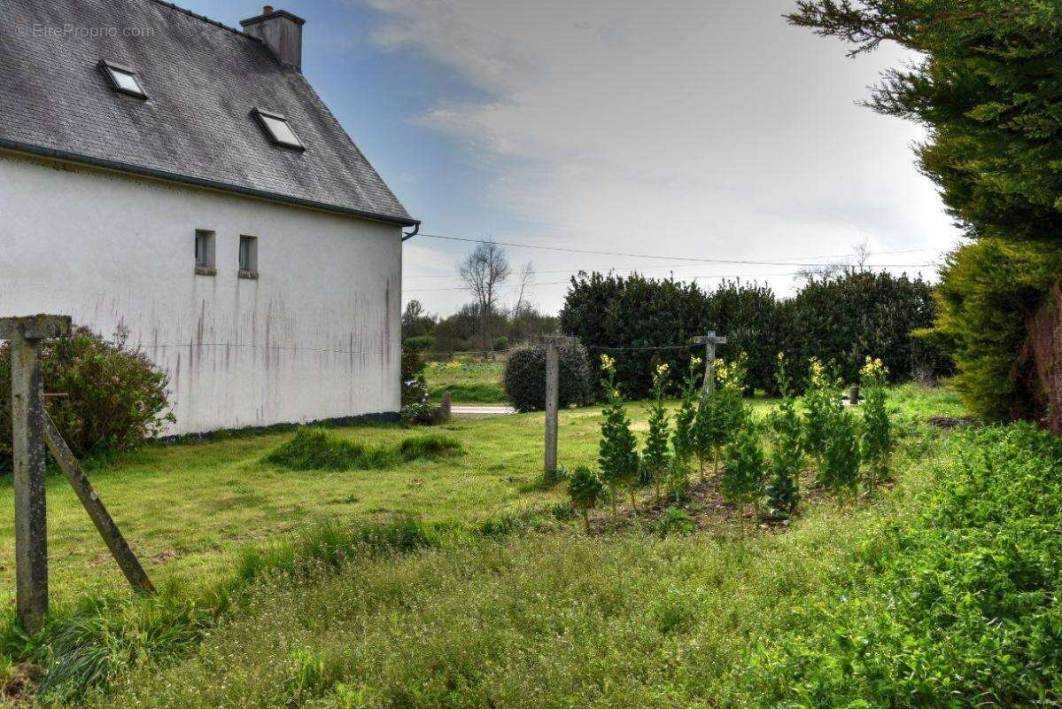 Maison  proche de Treguier , 3 chambres, 100 m2 - photo 10
