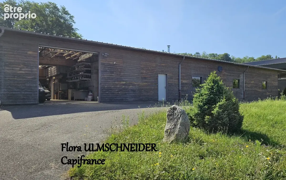 ATELIER, STOCKAGE, BUREAU à vendre MAGNIEU (01) avec logement de fonction + terrain proche de BELLEY à env. 1H30 de Lyon et de G - photo 11