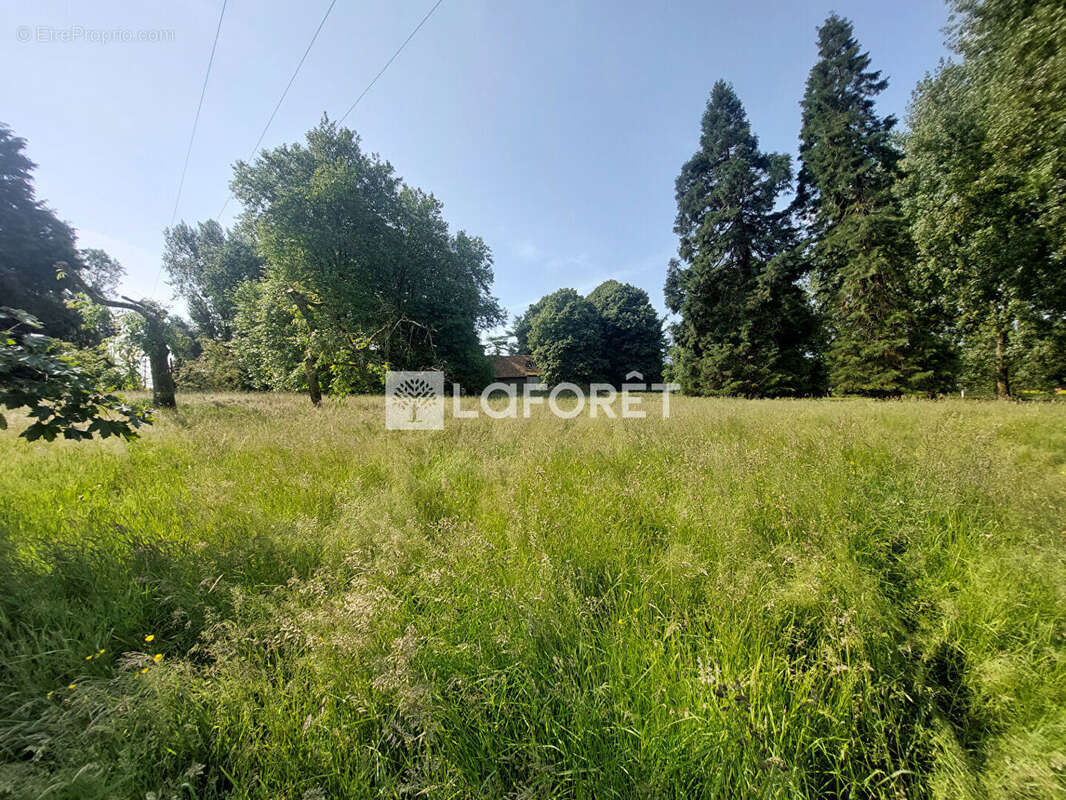 Maison à QUOEUX-HAUT-MAINIL