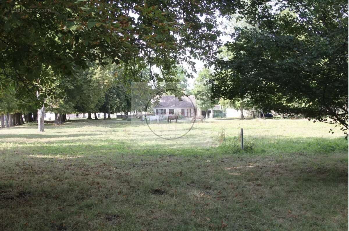 Maison à L&#039;ISLE-SUR-SEREIN