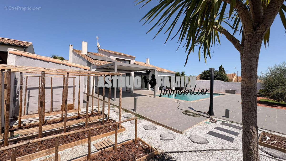 Aigues-mortes - maison contemporaine - jardin piscine garage - photo 2