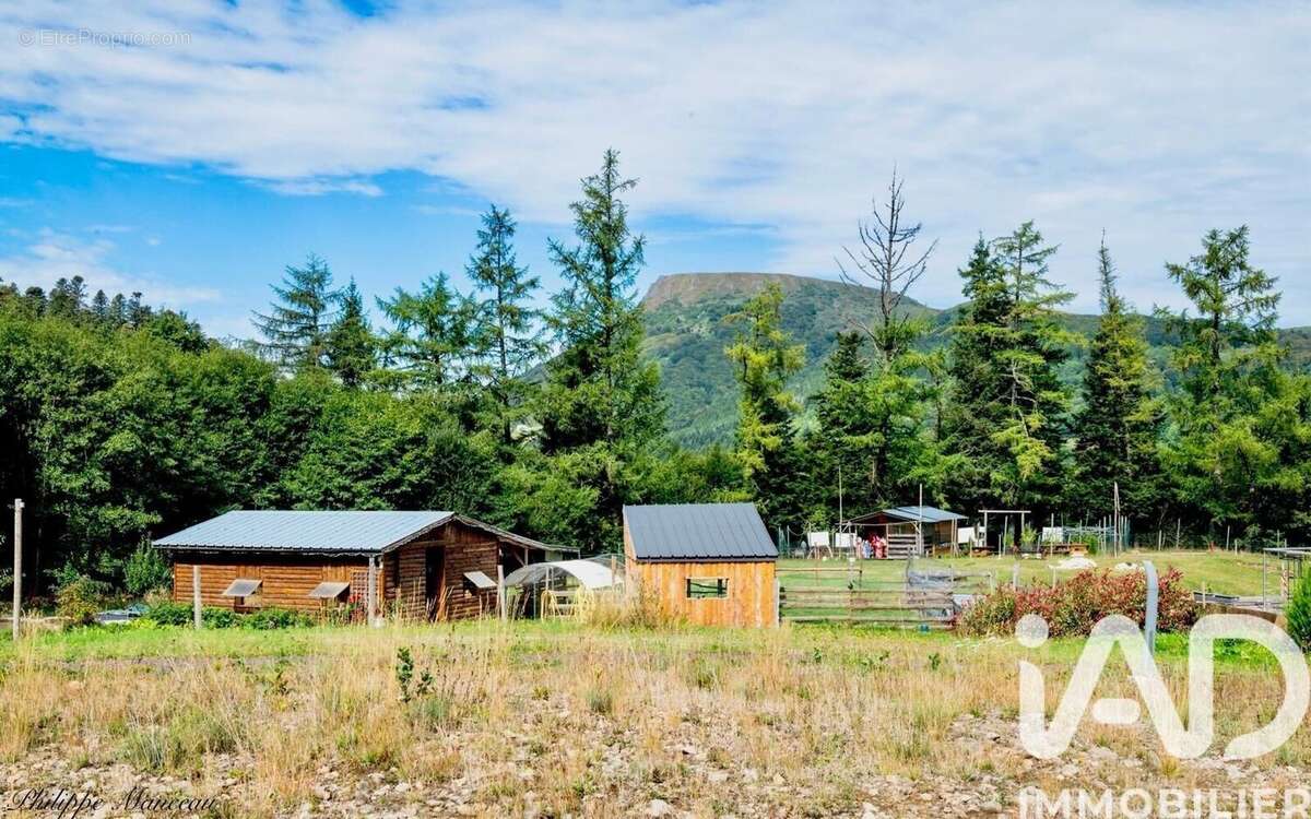 Photo 4 - Maison à MONT-DORE
