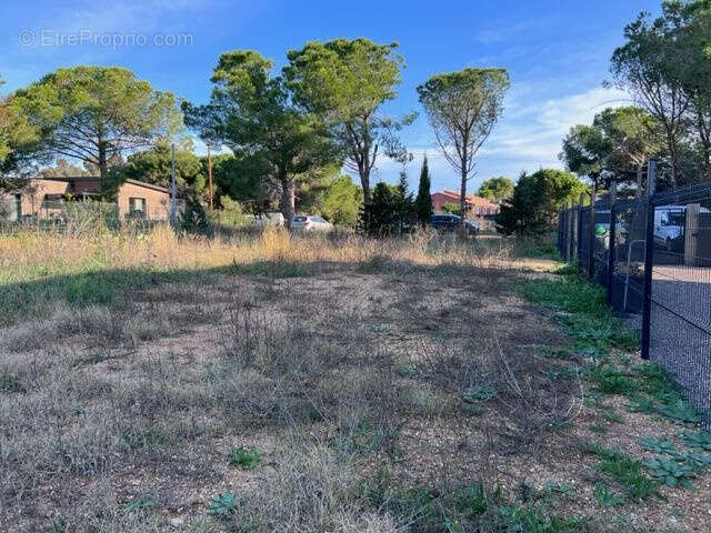 Terrain à MARSEILLAN