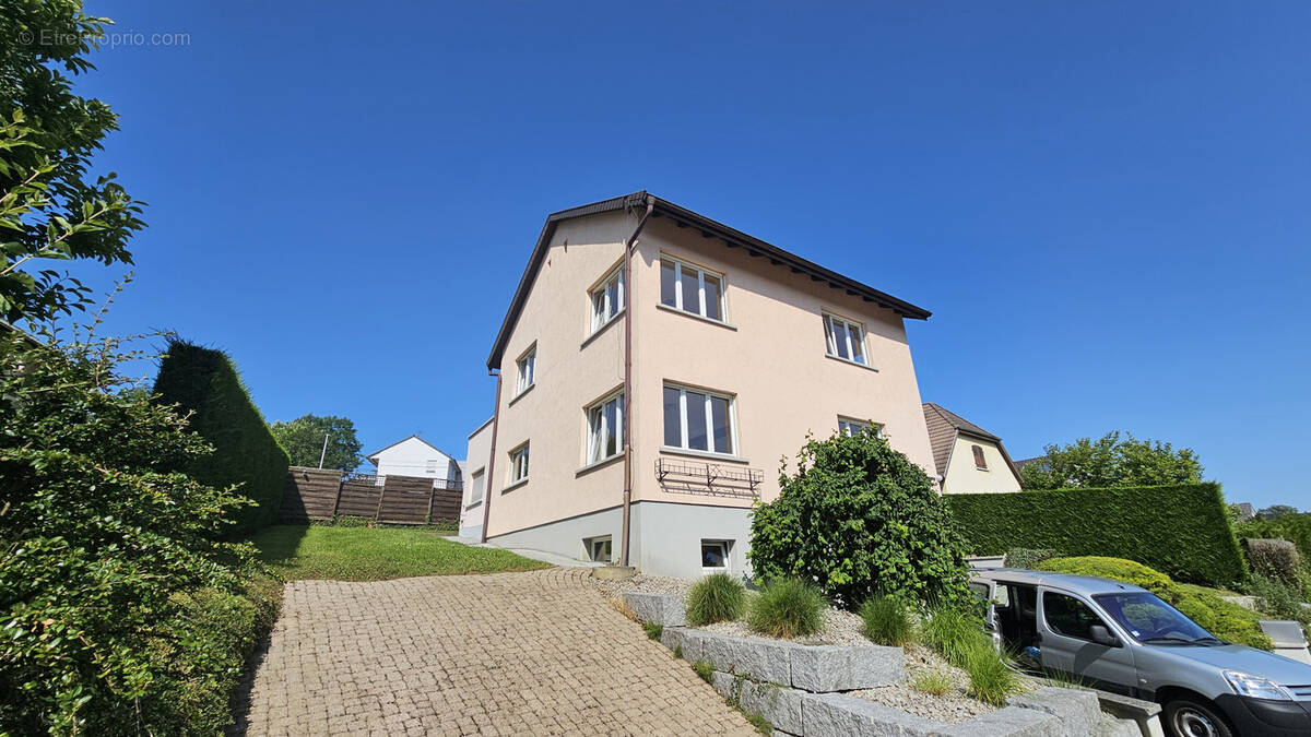 Maison à BUSCHWILLER