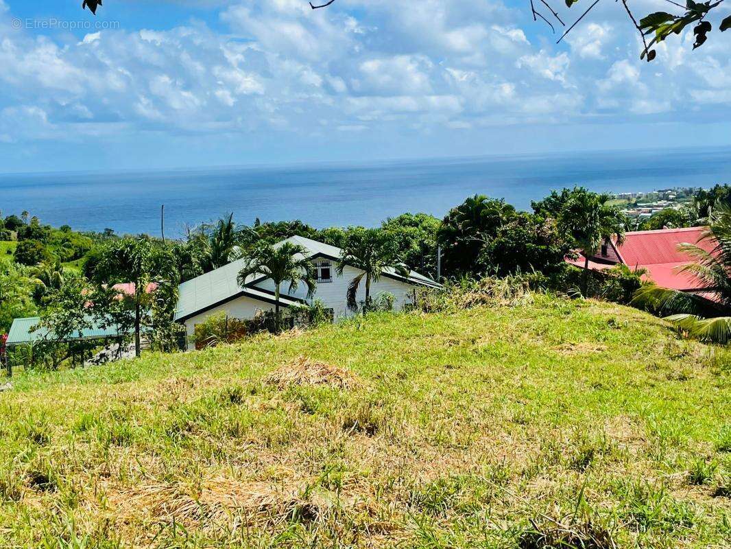 Terrain vue mer 1550 m2 - photo 4