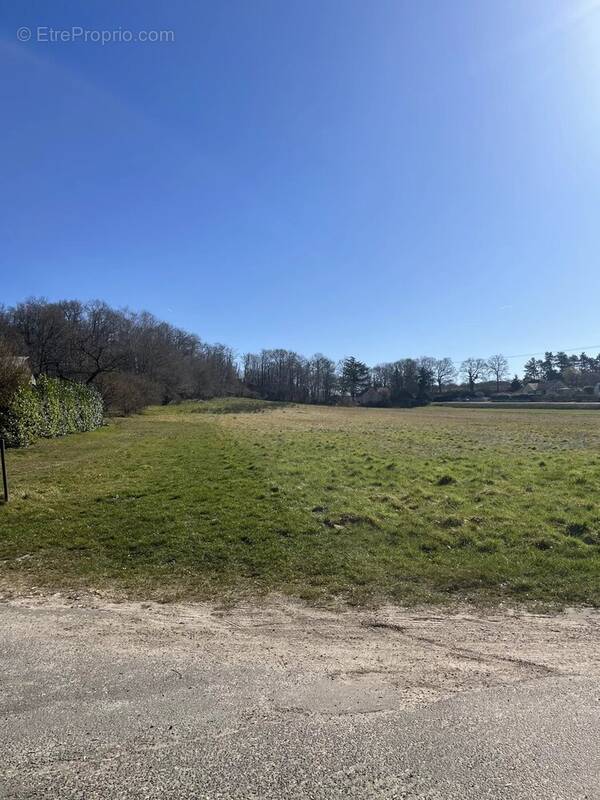 Terrain à RAIZEUX