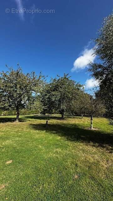 Maison à BOURG-ACHARD