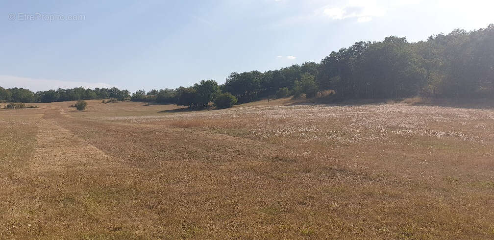 Maison à CORDES-SUR-CIEL