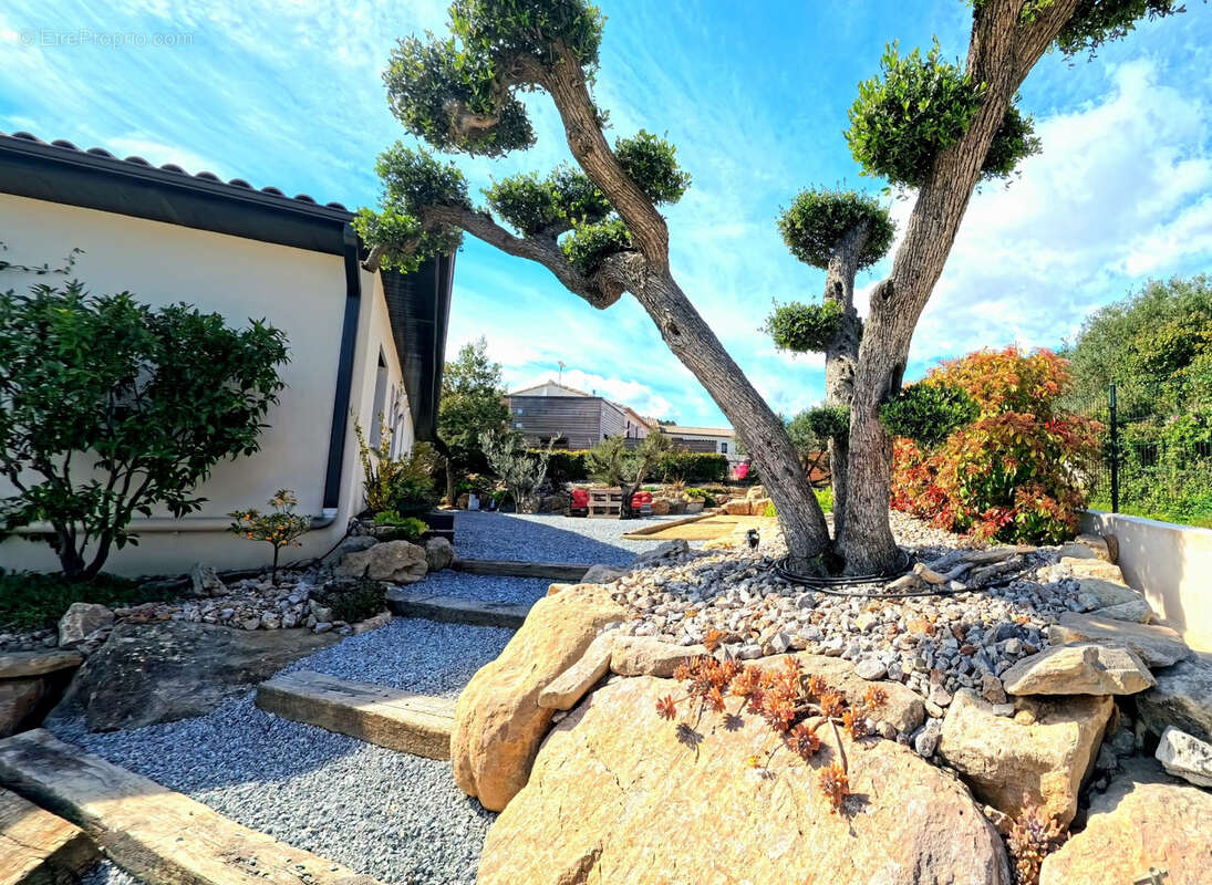 Maison à BIZE-MINERVOIS