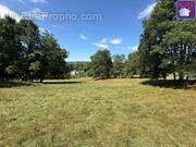 Terrain à SAINT-GIRONS