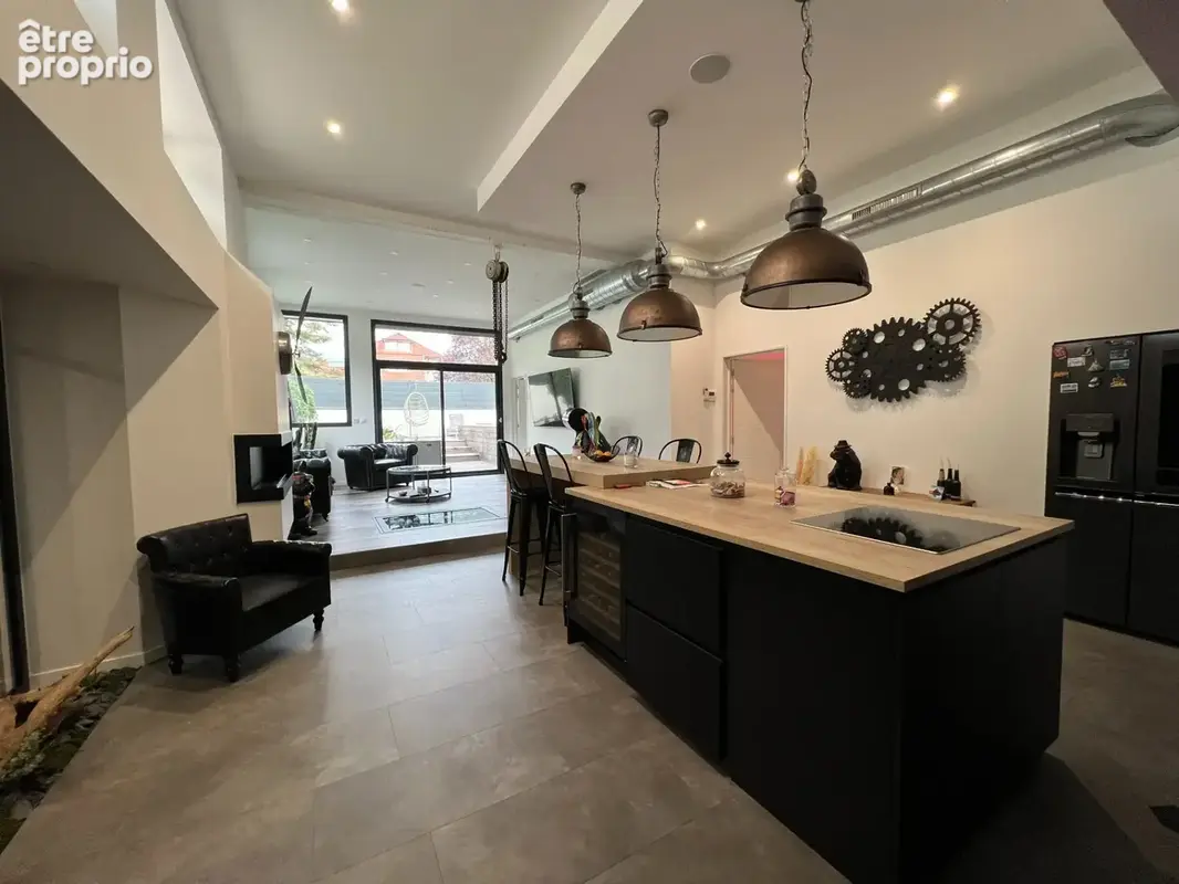 Gieres loft 152m2 + jardin + couloir de nage - photo 11