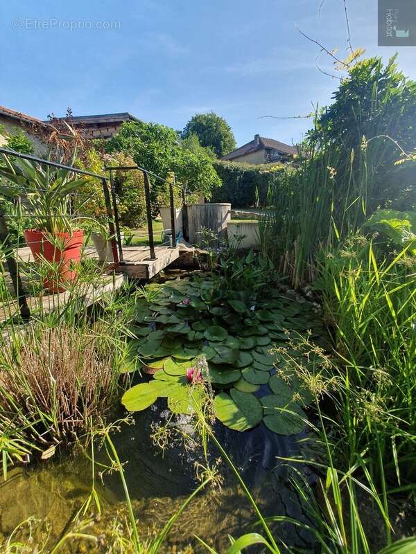 Maison Cantalienne rénovée de 200 m² avec ces 2 gites - photo 6