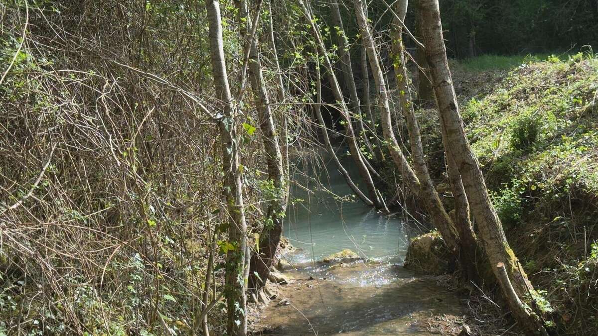 Photo 2 - Terrain à LES EYZIES-DE-TAYAC-SIREUIL