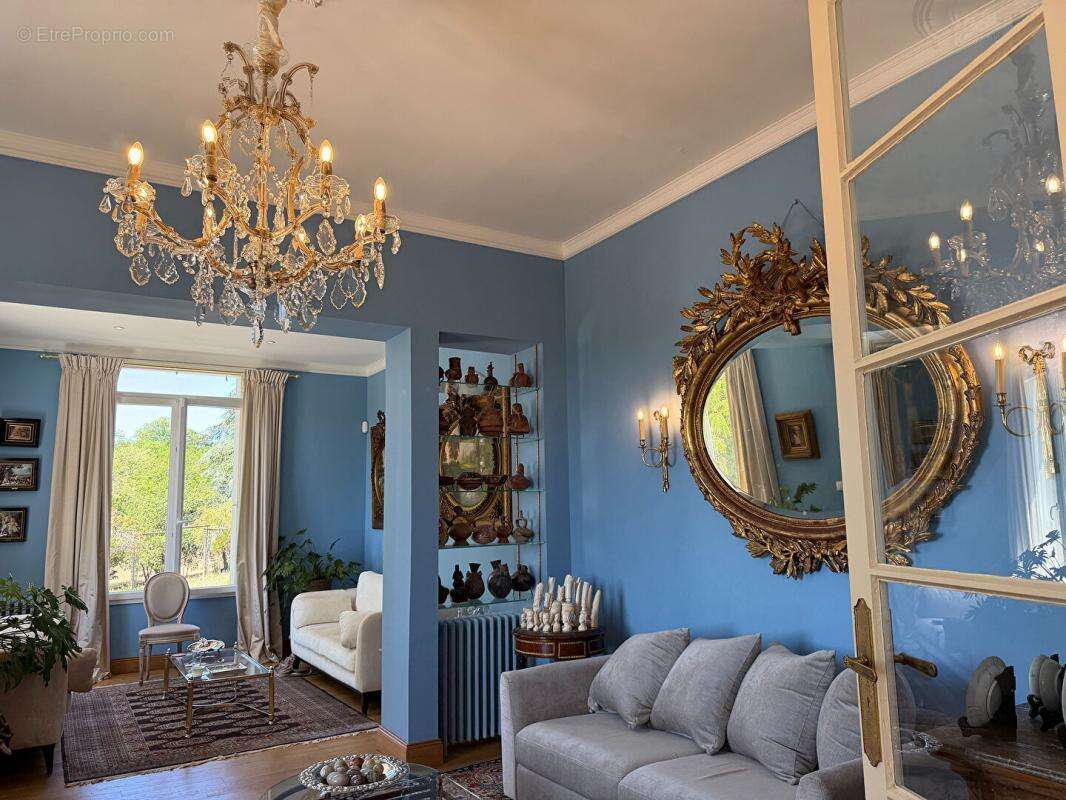 Élégant manoir avec maison d'amis, 11 hectares et vue panoramique - photo 4