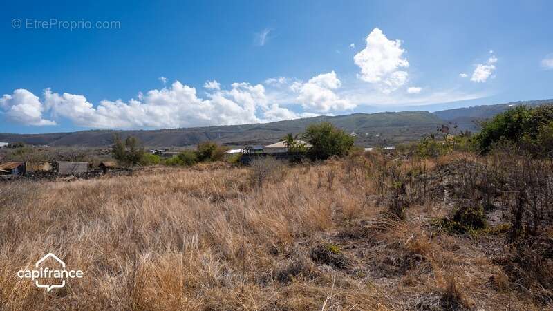 Terrain à LES TROIS-BASSINS