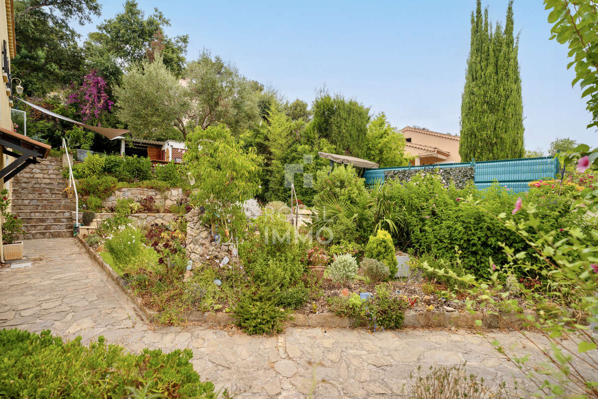 Le pradet   propriété de caractère aux multiples projets de vie piscine traditionnelle - photo 12