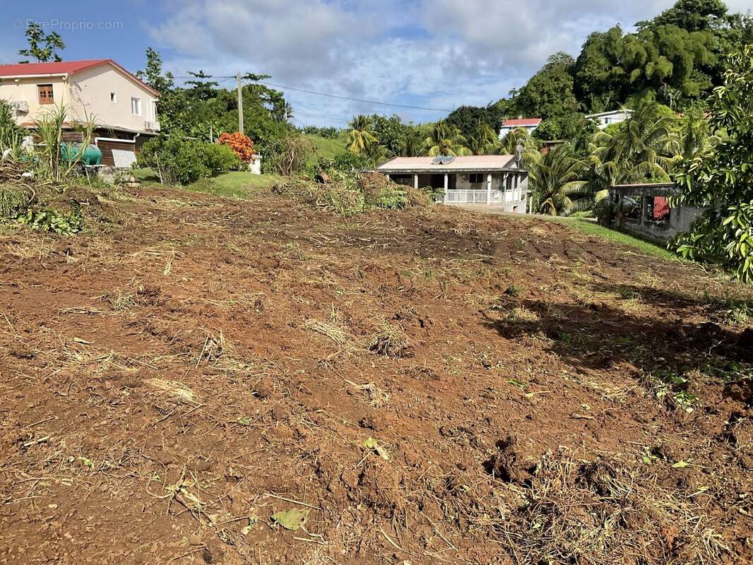 Terrain à LE FRANCOIS