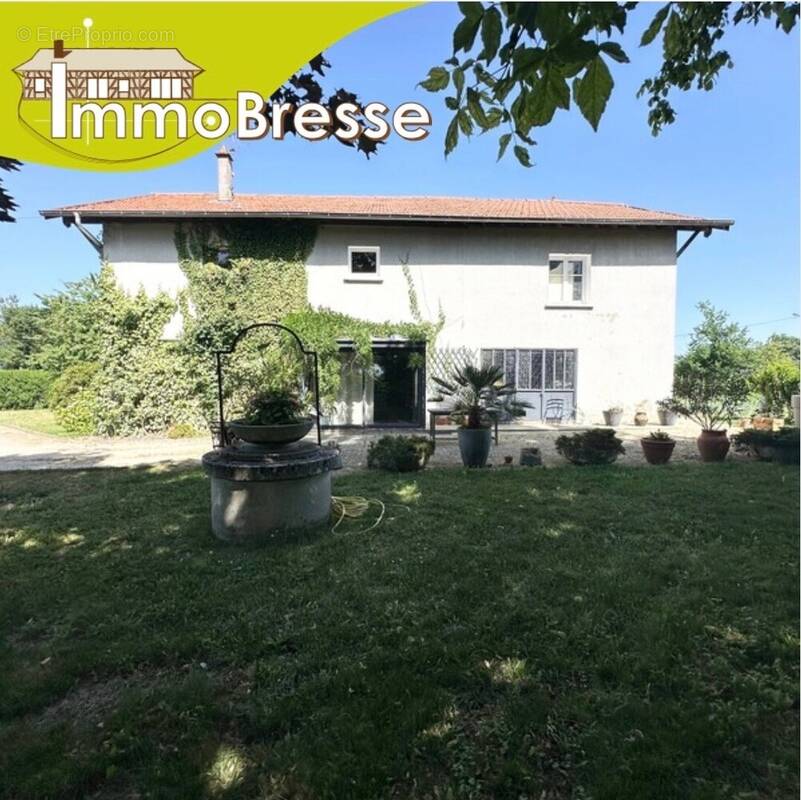 Maison indépendante sur deux niveaux, 179 m² habitables, 2251 m² de terrain - Maison à MONTREVEL-EN-BRESSE