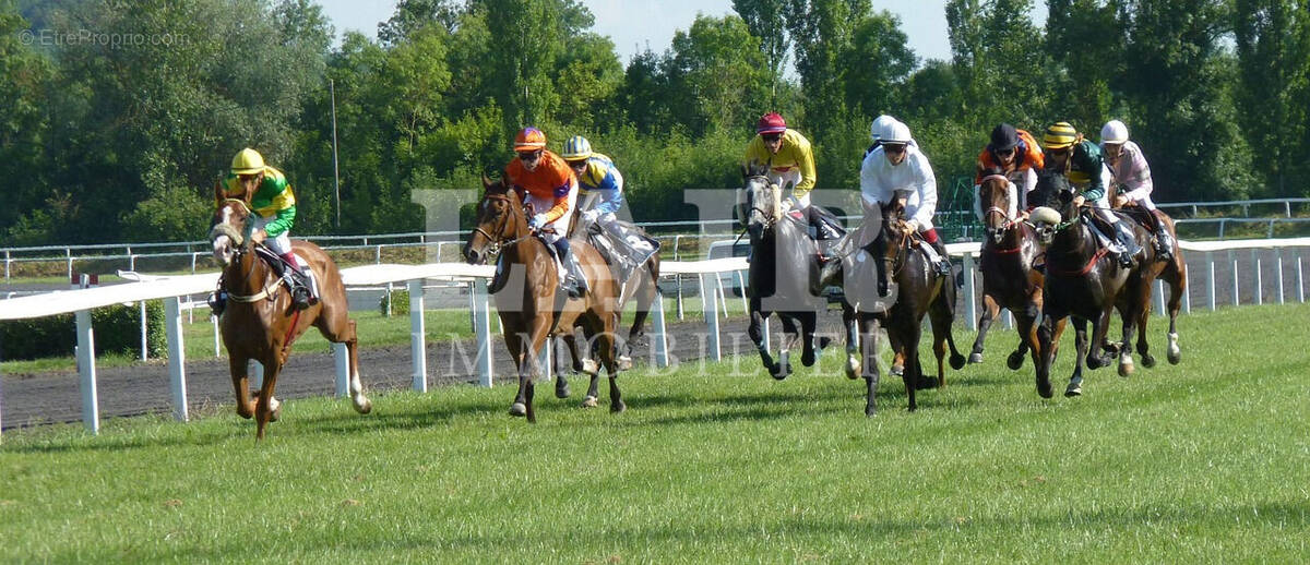 Commerce à CHATEAU-GONTIER