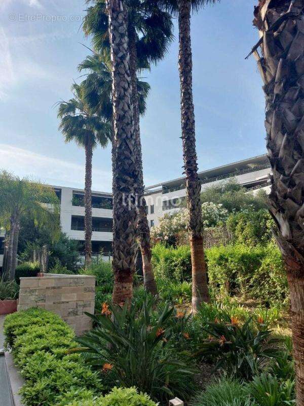 Exclusivité 2 pièces sur Cannes Montfleury pied de la Californie - photo 9