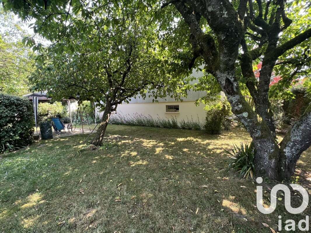 Photo 2 - Maison à VILLENEUVE-SUR-YONNE