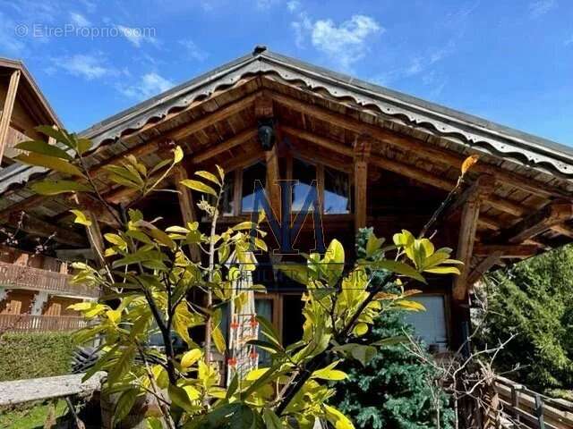 Maison à ARACHES-LA-FRASSE