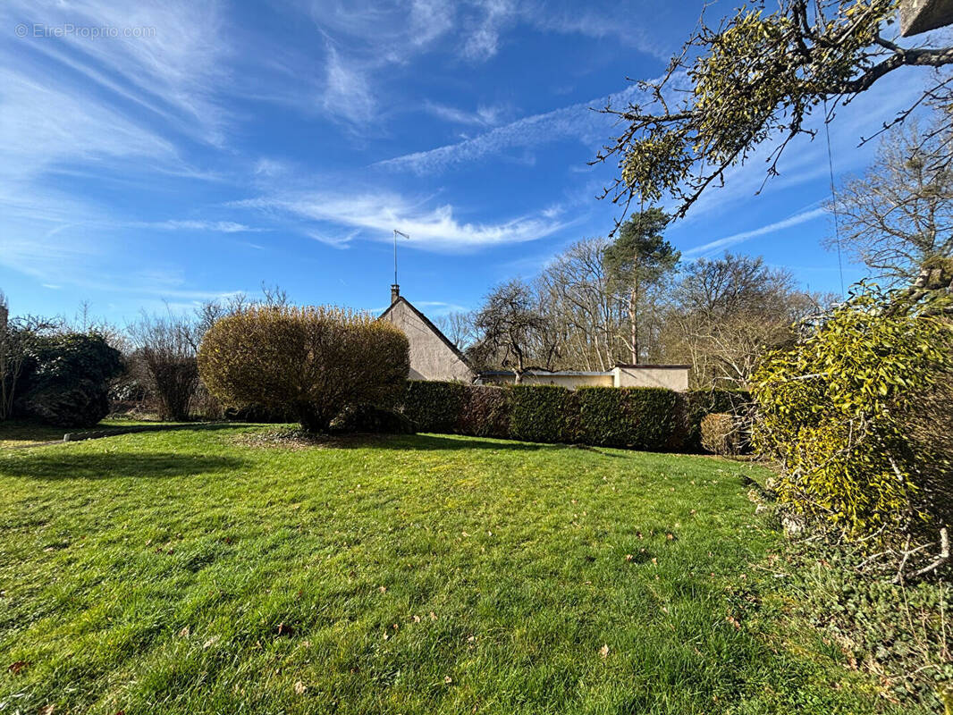 Terrain à SAINT-AUGUSTIN