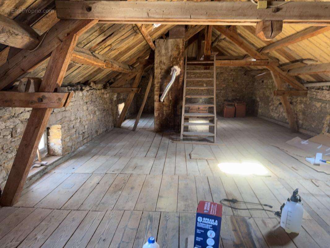 Maison en pierre avec 350 m² de dépendances, jardin et terrasse – Genevrières (52) - photo 28