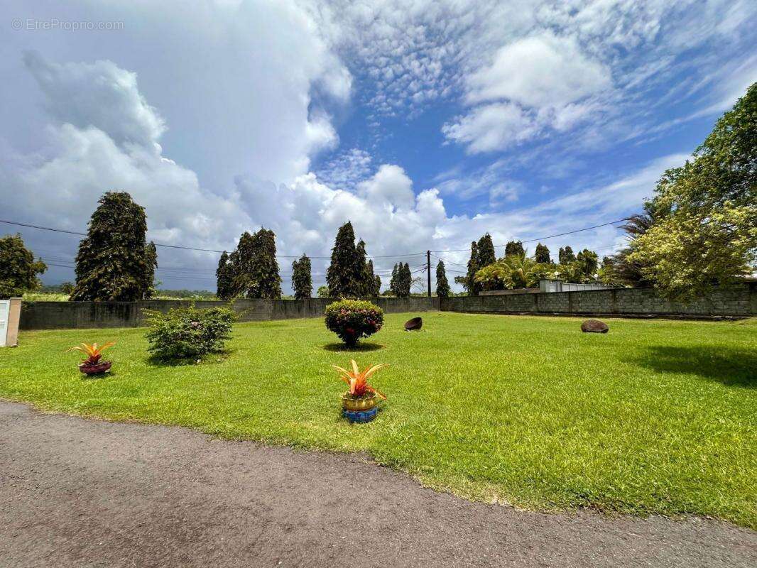 Terrain à PETIT-BOURG