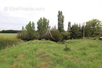 Terrain à CHOUZY-SUR-CISSE