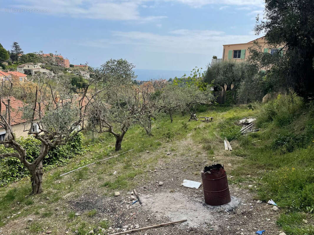 Terrain à NICE