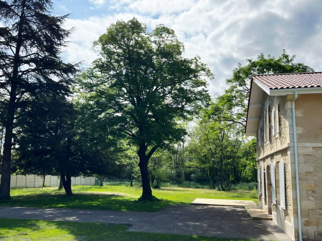 Maison de charme rénovée avec 2260 m2 de terrain sur Avensan - photo 15