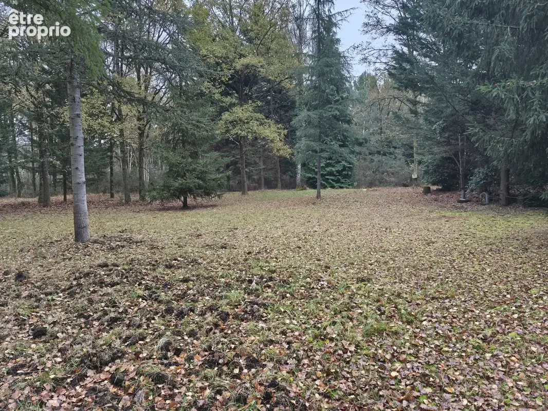 Photo Terrain à Mulsanne au prix de 46 000€