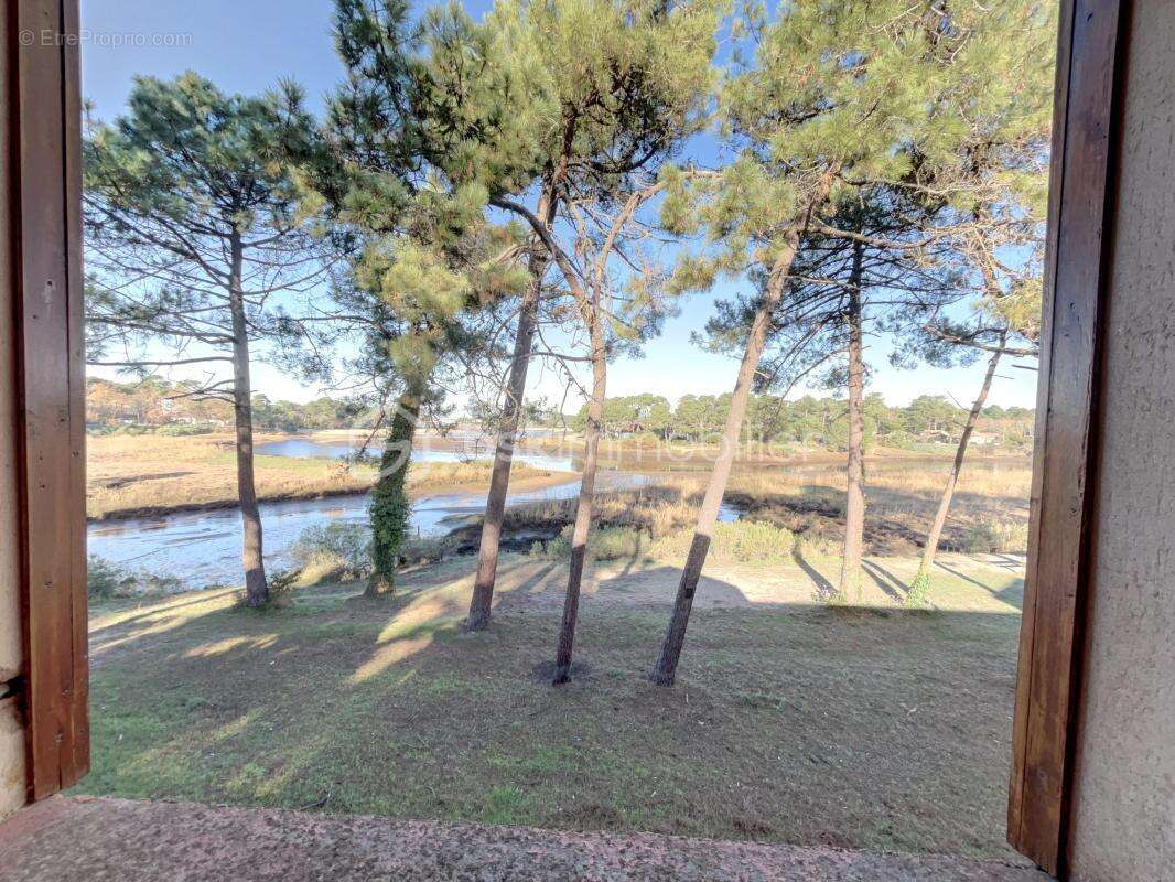 Duplex vue splendide sur le courant - Mimizan Plage - photo 8