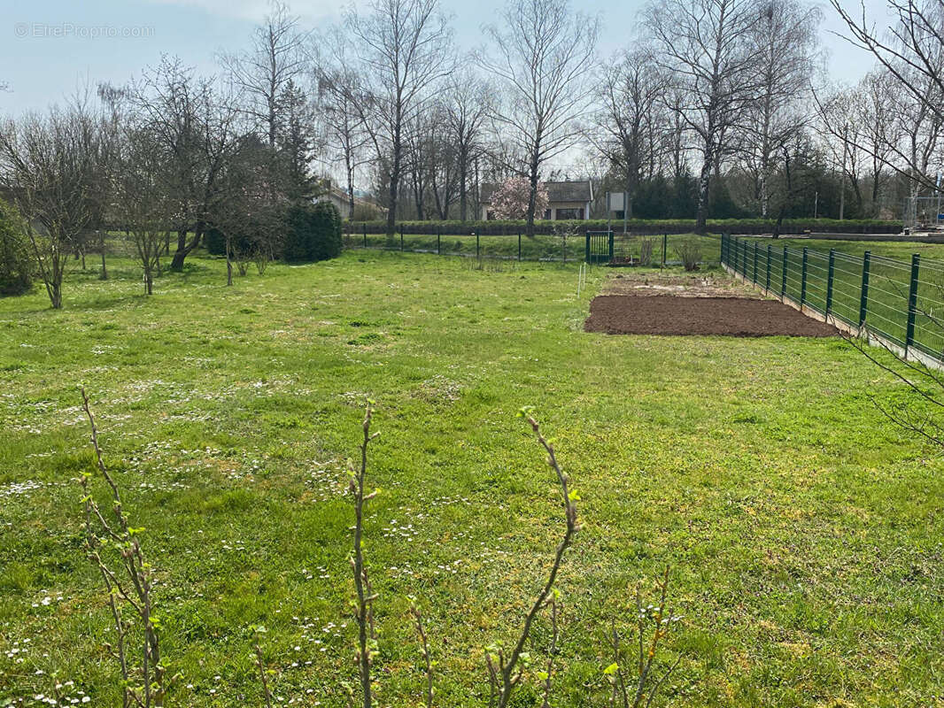 Terrain à EINVILLE-AU-JARD