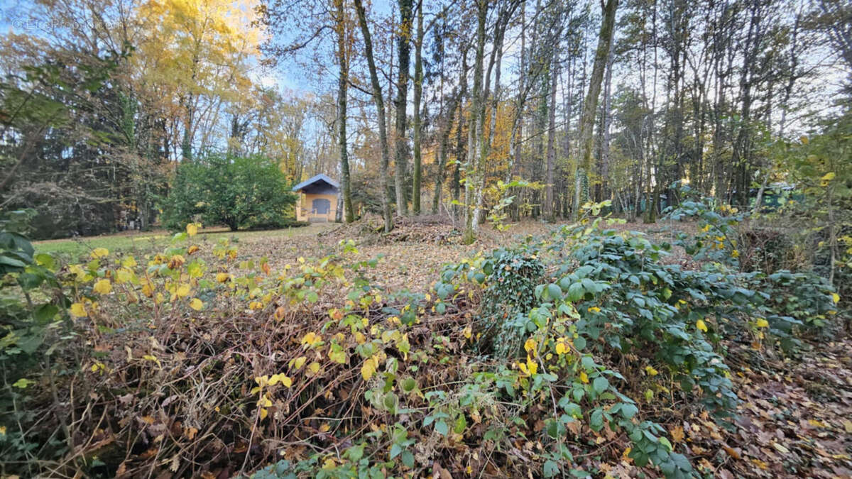 Terrain à BIESLES