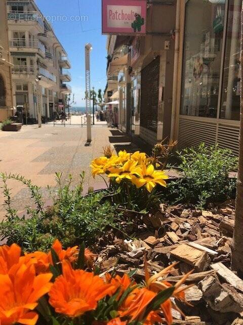 Commerce à SAINT-RAPHAEL