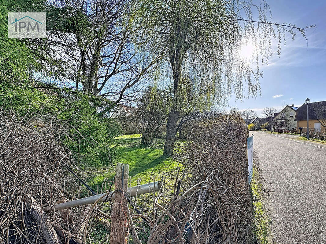 Terrain à NIEDERHASLACH