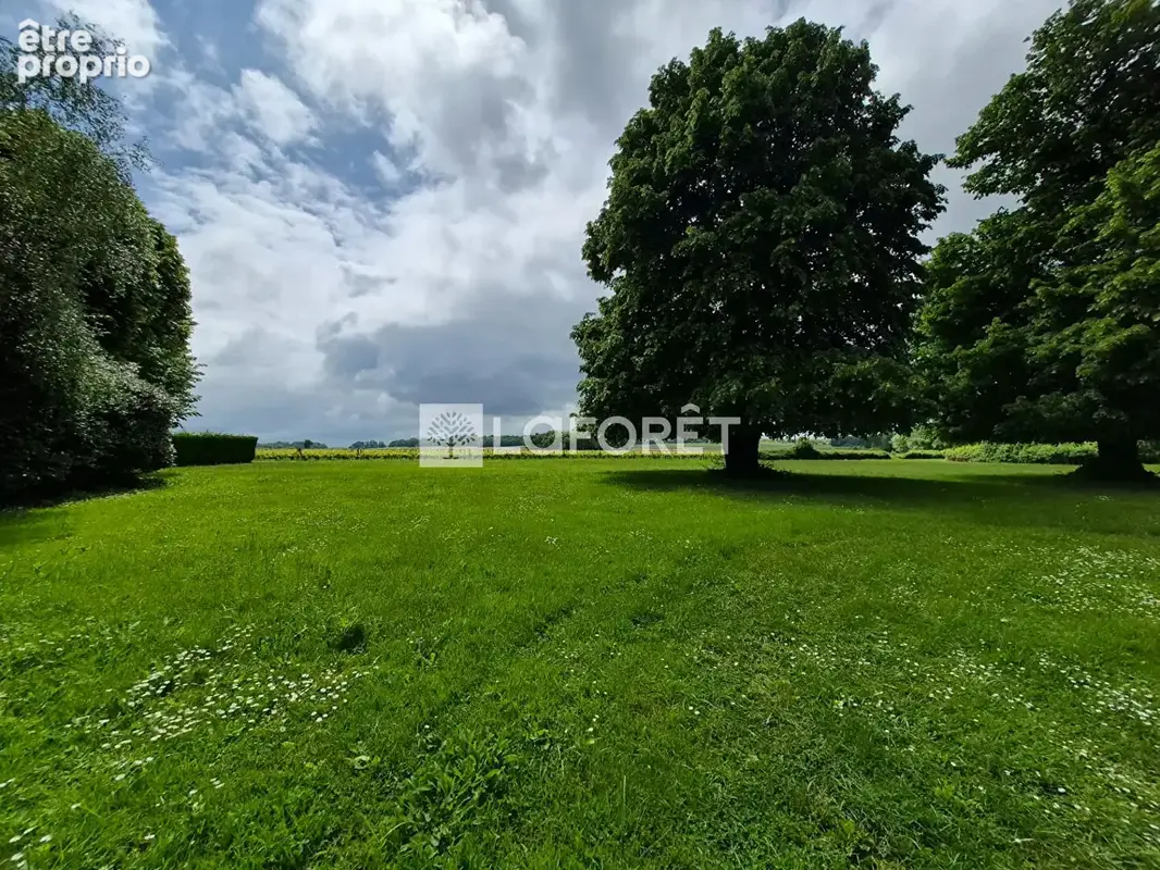Maison en pierre avec garage, dépendances et vaste terrain au calme - photo 16