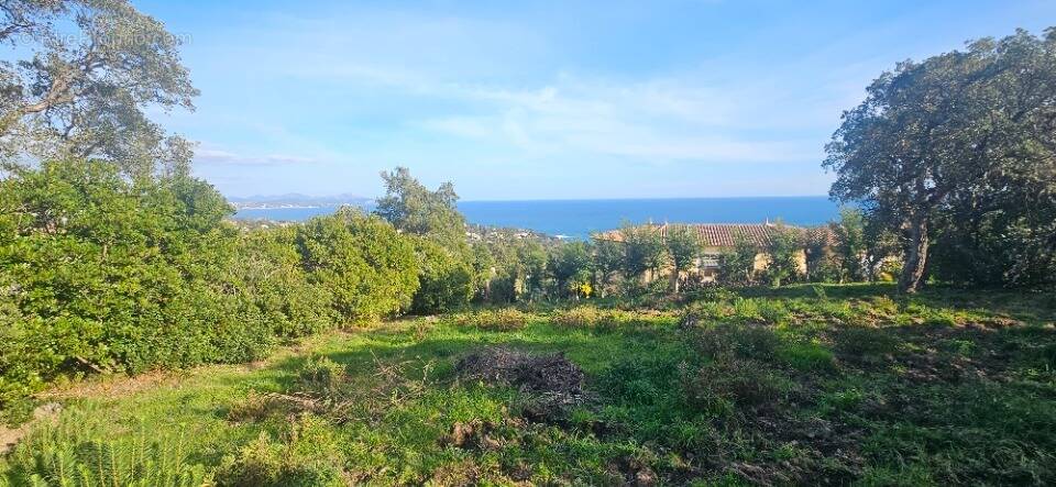Terrain à SAINT-RAPHAEL