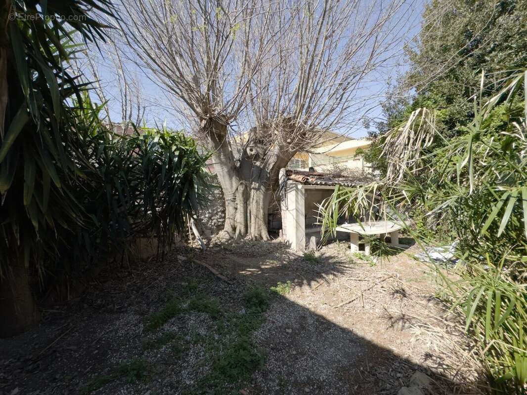 Appartement à MEZE
