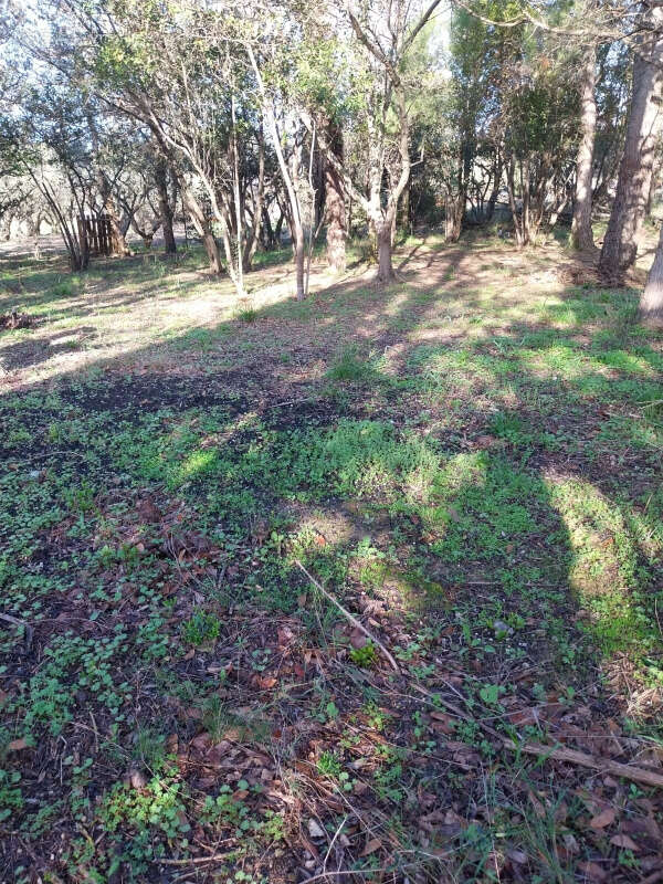 Terrain à OUVEILLAN