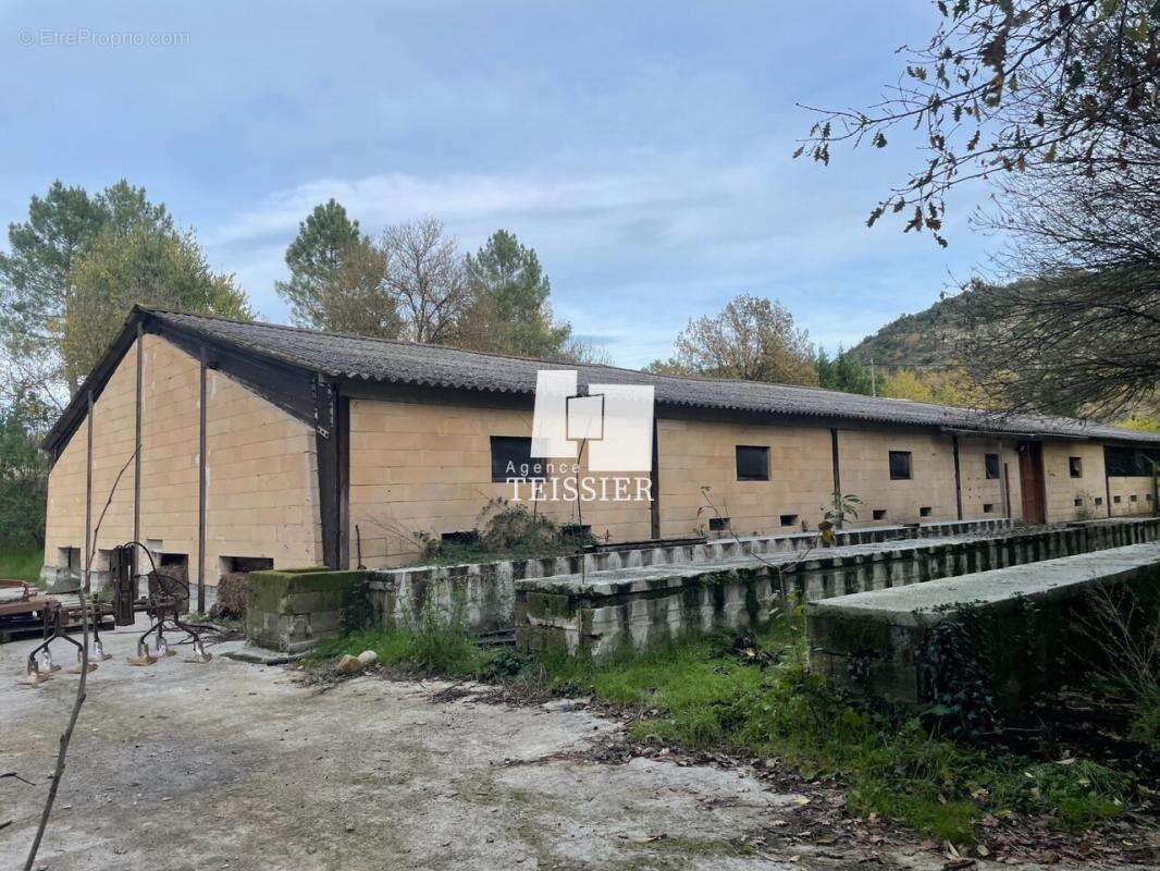 Commerce à LES ASSIONS